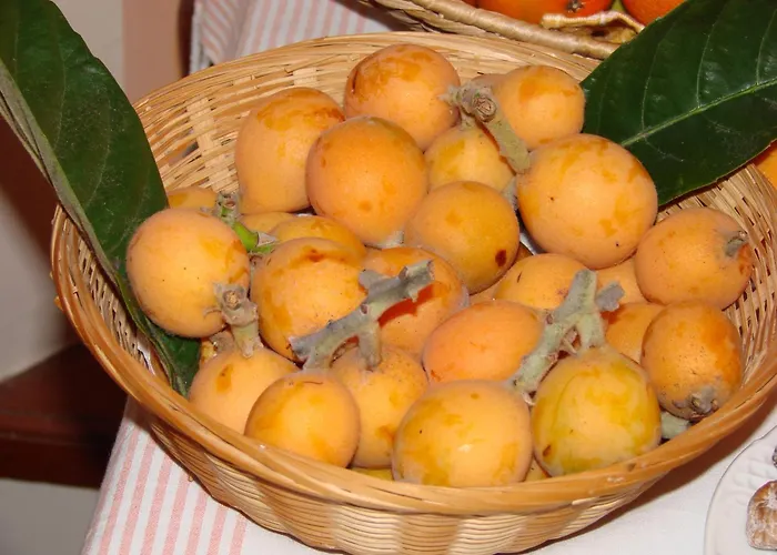 Hostal Casa Mercedes